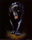 Benutzerbild von BlackPanther