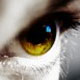 Benutzerbild von MasKarpOne