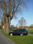 Benutzerbild von vince