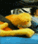Benutzerbild von cosmic-gate