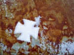 Benutzerbild von MarcoG