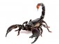 Benutzerbild von spinne