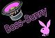 Benutzerbild von Bass-Bunny