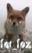 Benutzerbild von Fat_Fox@G3Synchro